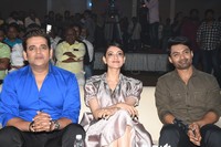 MLA Pre Release Function Photos